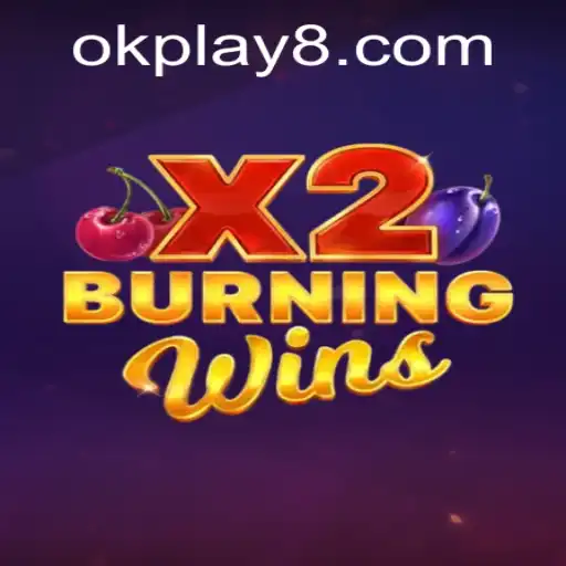 Exploring the Thrills of BurningWinsX2 at OK PLAY